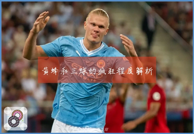 黄蜂和三球的疯狂程度解析