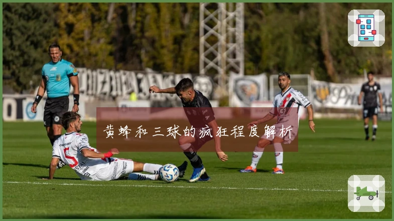 黄蜂和三球的疯狂程度解析